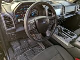 Used 2016 Ford F150 XLT w/ Equipment Group 302A Luxury image 2