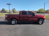 Used 2014 Ford F150 XLT image 4