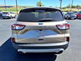 Used 2021 Ford Escape SEL image 4