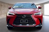 Used 2025 Lexus NX 350 AWD w/ Premium Package image 2