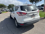 Used 2014 Ford Escape S image 4