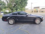 Used 2006 Ford Mustang Premium image 5