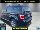 Used 2010 Ford Escape Limited image 5