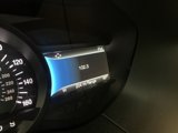 Used 2022 Ford Edge Titanium image 5