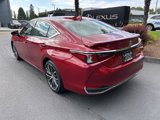 New 2025 Lexus ES 300h w/ Premium Package image 3