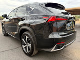 Used 2021 Lexus NX 300h AWD w/ Premium Package image 5