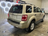 Used 2012 Ford Escape XLT image 4
