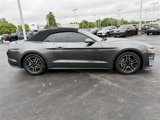 Used 2020 Ford Mustang Premium image 4