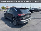 Used 2020 Ford Escape SEL image 3