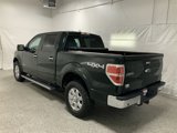 Used 2014 Ford F150 Lariat w/ Lariat Chrome Package image 3