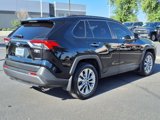Used 2020 Toyota RAV4 Limited image 5
