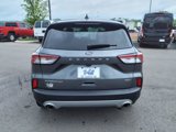 Used 2022 Ford Escape Titanium image 4