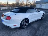 Used 2017 Ford Mustang Premium image 3