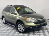 Used 2007 Honda CR-V EX-L image 2