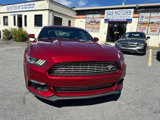 Used 2016 Ford Mustang Premium w/ Equipment Group 201A image 2