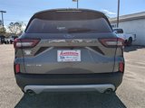 New 2025 Ford Escape Active w/ Tech Pack #1 image 5