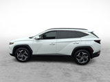 Used 2022 Hyundai Tucson Limited image 2