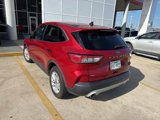 Used 2020 Ford Escape SE image 5