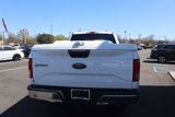 Used 2015 Ford F150 XLT w/ Equipment Group 301A Mid image 3