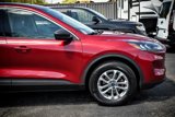 Used 2022 Ford Escape SE w/ Cold Weather Package image 4