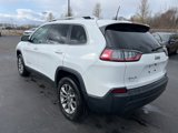 Used 2019 Jeep Cherokee Latitude Plus w/ Comfort/Convenience Group image 5