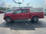 Used 2019 Ford F150 XLT w/ Equipment Group 302A Luxury image 5