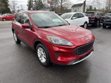 Used 2021 Ford Escape SE image 2
