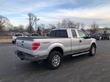 Used 2012 Ford F150 XLT w/ XLT Chrome Pkg image 5