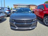 Used 2021 Dodge Charger SXT w/ Blacktop Package image 2