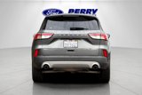 Certified 2022 Ford Escape SEL image 5