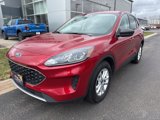 Certified 2022 Ford Escape SE w/ Convenience Package image 3