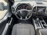 Used 2015 Ford F150 XLT w/ Equipment Group 302A Luxury image 6