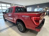 Certified 2022 Ford F150 XLT w/ Equipment Group 302A High image 5