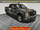 Used 2013 Ford F150 FX4 image 5