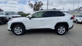 Used 2019 Toyota RAV4 XLE image 5