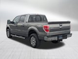 Used 2012 Ford F150 XLT w/ XLT Chrome Pkg image 3