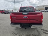 Used 2015 Ford F150 XLT w/ Equipment Group 302A Luxury image 4