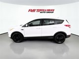 Used 2014 Ford Escape SE image 4