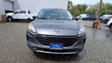 Certified 2022 Ford Escape SE image 3