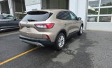 Used 2021 Ford Escape SE image 5