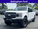 Used 2019 Ford F150 XLT w/ Equipment Group 302A Luxury image 1