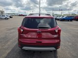 Used 2019 Ford Escape Titanium image 6