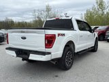 Used 2021 Ford F150 XLT w/ Equipment Group 302A High image 5