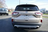 Used 2020 Ford Escape SE image 5