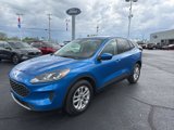 Used 2021 Ford Escape SE w/ Convenience Package image 2