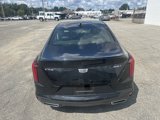 Used 2023 Cadillac CT4 Luxury w/ Sun And Sound Package image 6