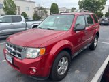Used 2011 Ford Escape XLT w/ 201A Rapid Spec Order Code image 4