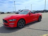 Used 2021 Ford Mustang Premium image 3