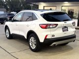 Used 2020 Ford Escape SE image 5
