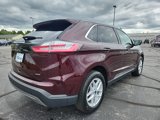 Used 2024 Ford Edge SEL image 6